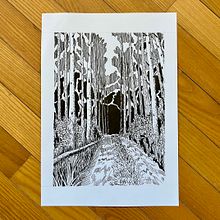 My project for course: Dip Pen and Ink Illustration: Capturing The Natural World. Un proyecto de Bocetado, Dibujo, Dibujo artístico, Sketchbook, Ilustración con tinta e Ilustración naturalista				 de Hanna Shvaikova - 20.12.2022