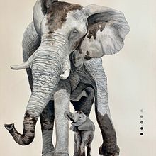 African Elephant Field Journal. Painting project by Joe Shook - 12.20.2022