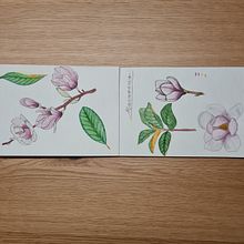 My project for course: Botanical Watercolor Sketchbook. Traditional illustration, Watercolor Painting, Botanical Illustration, and Sketchbook project by marrtinezgml - 12.18.2022