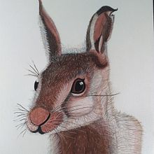 Meu projeto do curso: Técnicas experimentais de aquarela para principiantes. Projekt z dziedziny Trad, c, jna ilustracja,  Sztuki piękne, Malowanie akwarelą, Ilustracja naturalist i czna użytkownika Anna Lyvia Brenneisen - 21.12.2022