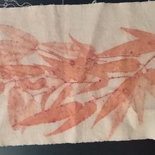 Meu projeto do curso: Impressão botânica em tecido e papel. Arts, Crafts, Fashion Design, DIY, Textile D, eing, Textile Printing, and Textile Design project by Elisa Kamp Condé - 12.21.2022