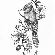Ilustrações. Traditional illustration, Digital Drawing, Digital Painting, and Drawing project by Dark Paes de Barros - 12.21.2022