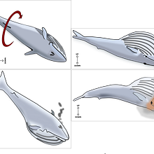 Blue Whale feeding lunge behavior. Een project van Traditionele illustratie van Adriana Aquino - 29.11.2022