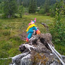 My project for course: Soft Toy Creation for Beginners. Un proyecto de Diseño de personajes, Artesanía y Diseño de juguetes de Susanne - 20.07.2022