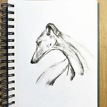 Mi proyecto del curso: Ilustración de animales con carboncillo y tinta. Projekt z dziedziny  R, sunek,  R, sunek atramentem, Ilustracja naturalist i czna użytkownika Laura Poletti - 24.12.2022