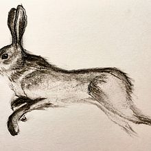 Charcoal. Traditional illustration project by Laura Poletti - 12.25.2022