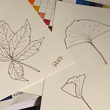 Mi proyecto del curso: Sketchbook botánico: una aproximación meditativa. Projekt z dziedziny Trad, c, jna ilustracja, Sketching,  R, sunek, Malowanie akwarelą, R, sunek botaniczn i Sketchbook użytkownika Rocio Romero - 25.12.2022
