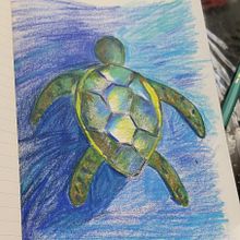 Tarea 1.  compartir un proyecto. . Un progetto di Illustrazione tradizionale di yanmari_mustiola - 26.12.2022