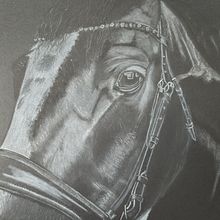 Huck - white charcoal on black paper. Projekt z dziedziny Sketching,  Rysunek, Rysunek realistyczny i Ilustracja naturalistyczna użytkownika Mary Owensby - 26.12.2022