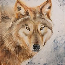 Il mio progetto del corso: Ritratti espressivi di animali ad acquerello. Projekt z dziedziny Trad, c, jna ilustracja, Malowanie akwarelą, R, sunek realist, czn, Ilustracja naturalist i czna użytkownika supersilvia74 - 26.12.2022