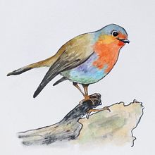 Mi proyecto del curso: Técnicas experimentales de acuarela para principiantes Ein Projekt aus dem Bereich Traditionelle Illustration, Bildende Künste, Aquarellmalerei und Naturalistische Illustration von Montse Cifuentes - 26.12.2022