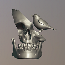 Skull. Traditional illustration project by DEREKA FREEDOM - 12.27.2022