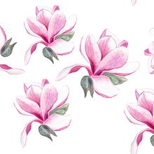 Magnolia. Traditional illustration project by magdabujak - 12.27.2022