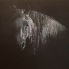 Seraph. Fine Arts, Drawing, Portrait Drawing, and Pencil Drawing project by Fran Larcombe - 12.27.2022