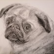 My project for course: Animal Illustration with Charcoal and Ink Ein Projekt aus dem Bereich Zeichnung, Illustration mit Tinte, Naturalistische Illustration und Bildende Künste von bejuleo1 - 27.12.2022