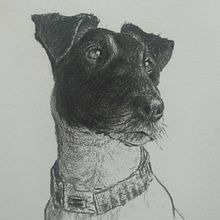 My project for course: Animal Illustration with Charcoal and Ink. Projekt z dziedziny  R, sunek,  R, sunek atramentem, Ilustracja naturalist i czna użytkownika anne.babington - 28.12.2022