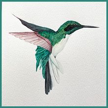 Oiseaux réalisés à l'aquarelle. Traditional illustration, and Watercolor Painting project by Karine LaSalle - 12.26.2022