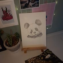 Meu projeto do curso: Desenho naturalista de animais com lápis grafite. Traditional illustration, Pencil Drawing, Drawing, and Naturalistic Illustration project by Gabriela Carretto - 12.29.2022