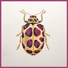 Coléoptère doré avec taches. Traditional illustration, and Watercolor Painting project by Karine LaSalle - 12.29.2022