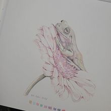 My project for course: Surrealist Illustration Inspired by Nature. Projekt z dziedziny Trad, c, jna ilustracja, R, sunek ołówkiem,  R, sunek,  R, sunek art, st, czn, Ilustracja naturalist, czna, R i sowanie kredkami użytkownika sweetart660 - 30.12.2022
