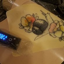 Mon projet du cours : Tatouages naturalistes : du dessin à la peau. Traditional illustration, Drawing, Tattoo Design, Botanical Illustration, and Naturalistic Illustration project by marie billebeau - 12.30.2022