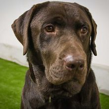 Mi proyecto del curso: Fotografía para principiantes: descubre tu cámara digital Ein Projekt aus dem Bereich Fotografie, Digitalfotografie und Fotografische Komposition von Diana Monge - 30.12.2022