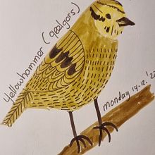 My project for course: Illustrated Life Journal: A Daily Mindful Practice. Fine Arts, Sketching, Creativit, Drawing, and Sketchbook project by Gusta Rinzema - 12.31.2022