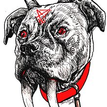 Demonic Pet Portraits. Ilustração tradicional, e Desenho de retrato projeto de Stacey Earley - 30.12.2022