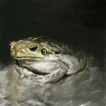 SAPO ESCURURU. Een project van Traditionele illustratie van samiracampos1808 - 31.12.2022