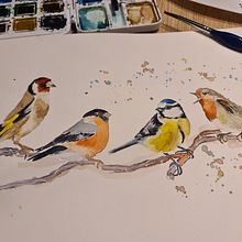 Mein Abschlussprojekt für den Kurs: Illustriere Vögel mit expressiven Aquarelltechniken. Traditional illustration, Watercolor Painting, Realistic Drawing, and Naturalistic Illustration project by Kerstin Haußdörfer - 01.01.2023