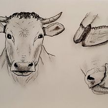 Mein Abschlussprojekt für den Kurs: Tägliches Sketching für kreative Inspiration. Un projet de Illustration traditionnelle, Esquisse , Créativité, Dessin , et Carnet de croquis de laraoleart - 02.01.2023
