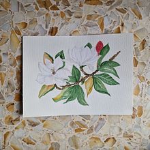 Il mio progetto del corso: Illustrazione botanica con acquerello . % Cintia Faraco tarafından hazırlanan Geleneksel illüstras, on, Güzel sanatlar, Tablo, Çizim, Sulubo, a Resim, Botanik İllüstras, Ve on projesi - 12.22.2022