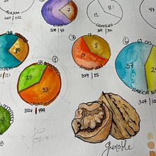 Nutrition végétale : fibres, sucres et protéines Ein Projekt aus dem Bereich Grafikdesign, Informationsdesign, Interaktives Design und Infografik von Isabel Cayer - 02.01.2023