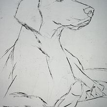 My project for course: Animal Illustration with Charcoal and Ink. Projekt z dziedziny  R, sunek,  R, sunek atramentem, Ilustracja naturalist, czna i  Sztuki piękne użytkownika Judith Sutherland - 03.01.2023