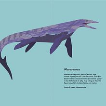 My project for course: Wildlife Illustration for Children's Books. Un progetto di Illustrazione vettoriale, Illustrazione digitale e Illustrazione infantile di Curt Quentien - 04.01.2023