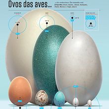 Compilação de visualização de dados. Editorial Design, Design & Infographics project by Thales Molina - 01.04.2023