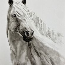 Mi proyecto del curso: Retratos expresivos de animales en acuarela. Traditional illustration, Watercolor Painting, Realistic Drawing, and Naturalistic Illustration project by Mónica Pereira - 01.04.2023