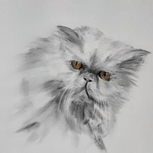 My project for course: Animal Illustration with Charcoal and Ink . % Maia Martin tarafından hazırlanan Çizim, Mürekkep İllüstras, onu, Doğalcı İllüstras, Ve on projesi - 01.05.2023