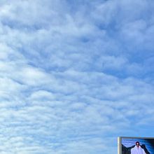 Some in West London . % Giorgia Cheli tarafından hazırlanan Fotoğrafçılık projesi - 01.04.2023