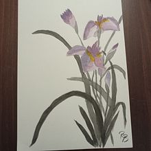 Il mio progetto del corso: Pittura Sumi-e colorata per illustrazioni floreali. Projekt z dziedziny Trad, c, jna ilustracja,  Sztuki piękne,  Malarstwo, R, sunek botaniczn,  R i sunek atramentem użytkownika Rita Bogdan - 05.01.2023