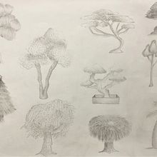 DA - Dibujo diferentes tipos de árboles. Drawing, Pencil Drawing, Realistic Drawing, Artistic Drawing, Botanical Illustration, and Naturalistic Illustration project by Stephanie W - 01.05.2023