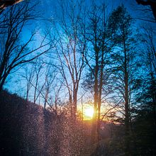 My project for course: Beginner’s Photography: Basic Camera Use and Theory. Photograph, Digital Photograph, and Photographic Composition project by pandamoonarts - 01.04.2023