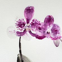 My project for course: Introduction to Sumi-e Painting. Traditional illustration, Fine Arts, Painting, Drawing & Ink Illustration project by Zuzana Zachová - 01.06.2023