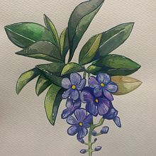 Mi proyecto del curso: Acuarela botánica: ilustra la anatomía de las flores Ein Projekt aus dem Bereich Traditionelle Illustration, Bildende Künste, Malerei, Zeichnung, Aquarellmalerei und Botanische Illustration von Julián Andrés Carvajal Zapata - 06.01.2023