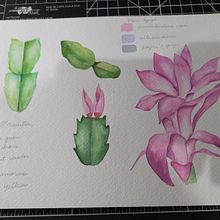 Meu projeto do curso: Caderno ilustrado de viagem: registre a natureza. Un proyecto de Dibujo a lápiz, Dibujo, Pintura a la acuarela, Sketchbook e Ilustración naturalista				 de Edi Assis - 06.01.2023