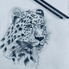 My project for course: Naturalistic Animal Drawing with Graphite Pencil. Traditional illustration, Pencil Drawing, Drawing, Naturalistic Illustration, and Character Design project by Jenny Foreman - 01.06.2023