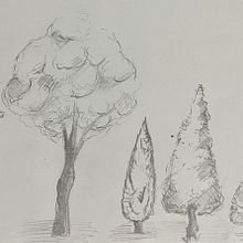 D.A: trabajo de árboles. Een project van Tekening met potlood van Carla Villamana - 07.01.2023