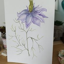 Mon projet du cours : Illustration botanique à l’aquarelle. Projekt z dziedziny Trad, c, jna ilustracja,  Sztuki piękne,  Malarstwo,  R, sunek, Malowanie akwarelą, R i sunek botaniczn użytkownika aurorediane1 - 07.01.2023