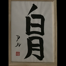 My project for course: Shodo: Introduction to Japanese Calligraphy. Calligraph project by alek_ - 01.07.2023
