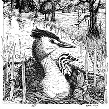 My project for course: Dip Pen and Ink Illustration: Capturing The Natural World. Un proyecto de Bocetado, Dibujo, Dibujo artístico, Sketchbook, Ilustración con tinta e Ilustración naturalista				 de Kara Skye - 08.01.2023